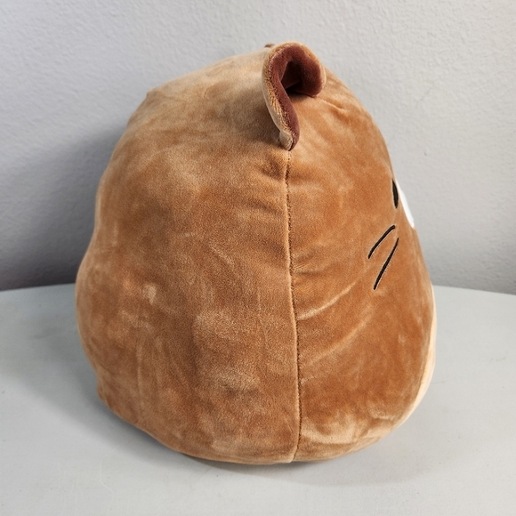 Squishmallows Flip-A-Mallow Rocky the Raccoon/Chip the Beaver-12" - Picture 7 of 12